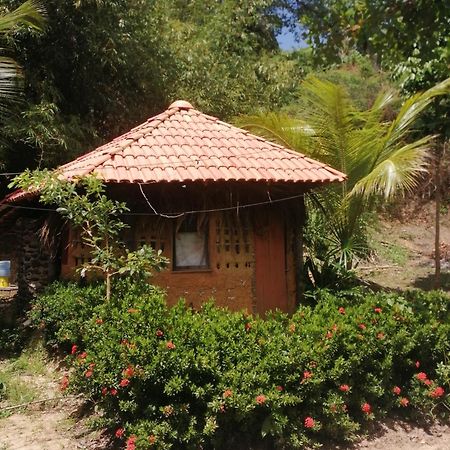Ecopousada Casa Do Carimbo Fortalezinha Algodoal Exteriör bild