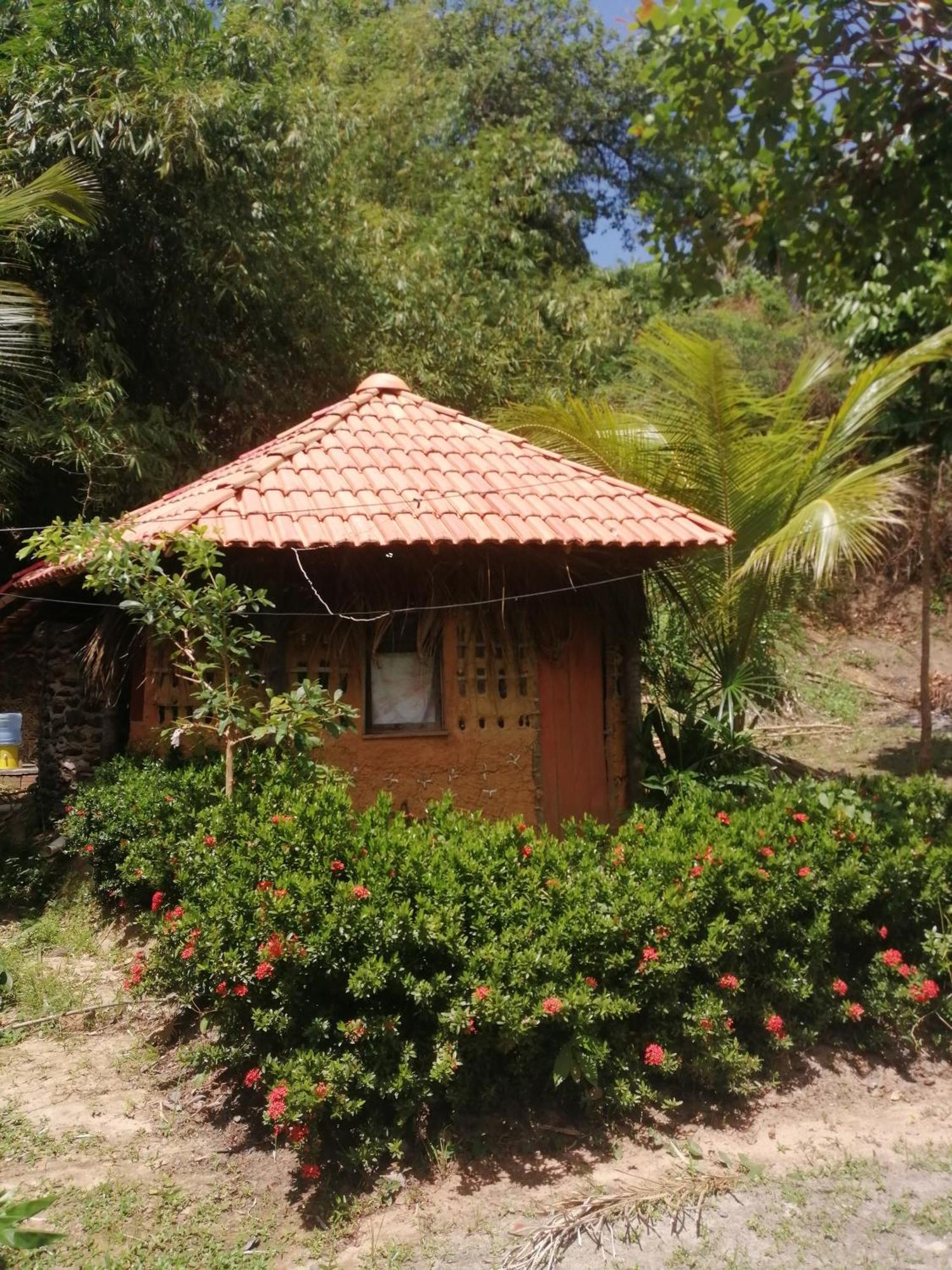 Ecopousada Casa Do Carimbo Fortalezinha Algodoal Exteriör bild
